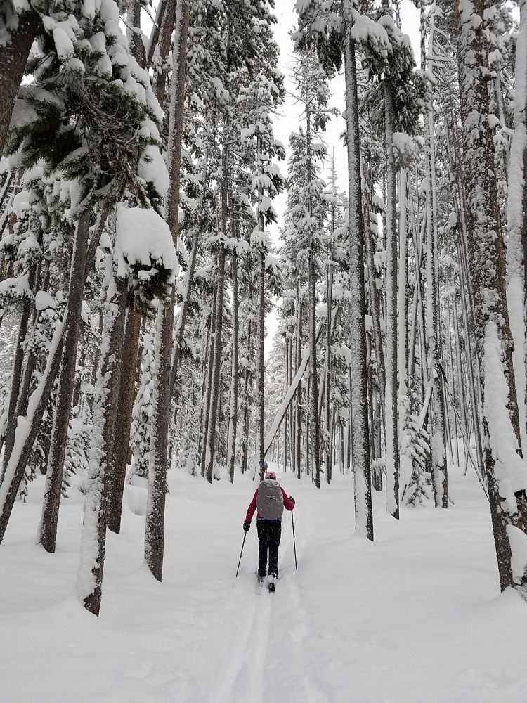 Skiers on Divide Trail by Diane Renkin. Original public domain image from Flickr