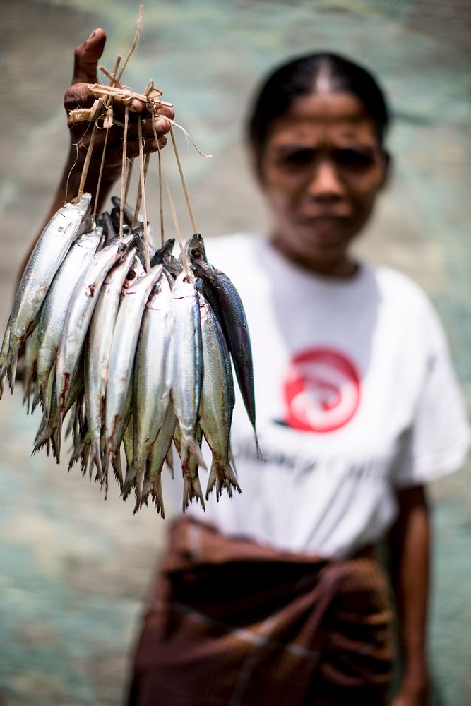 Ikan segar untuk keluargaIbu penjual ikan di Sumba.Photo courtesy of USAID SEA. Original public domain image from Flickr