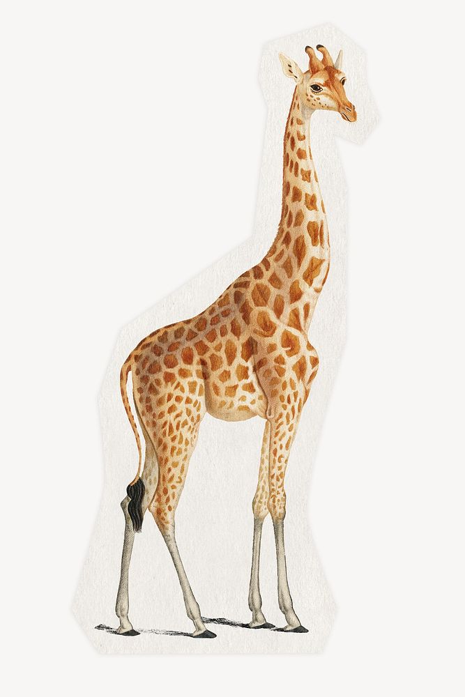 Giraffe on a rough cut paper effect design