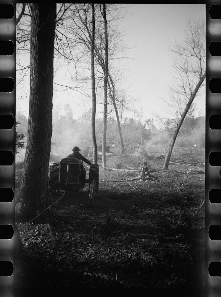 [Untitled photo, possibly related to: Greenbelt, Maryland. Transient workers clearing land for a model community planned by…