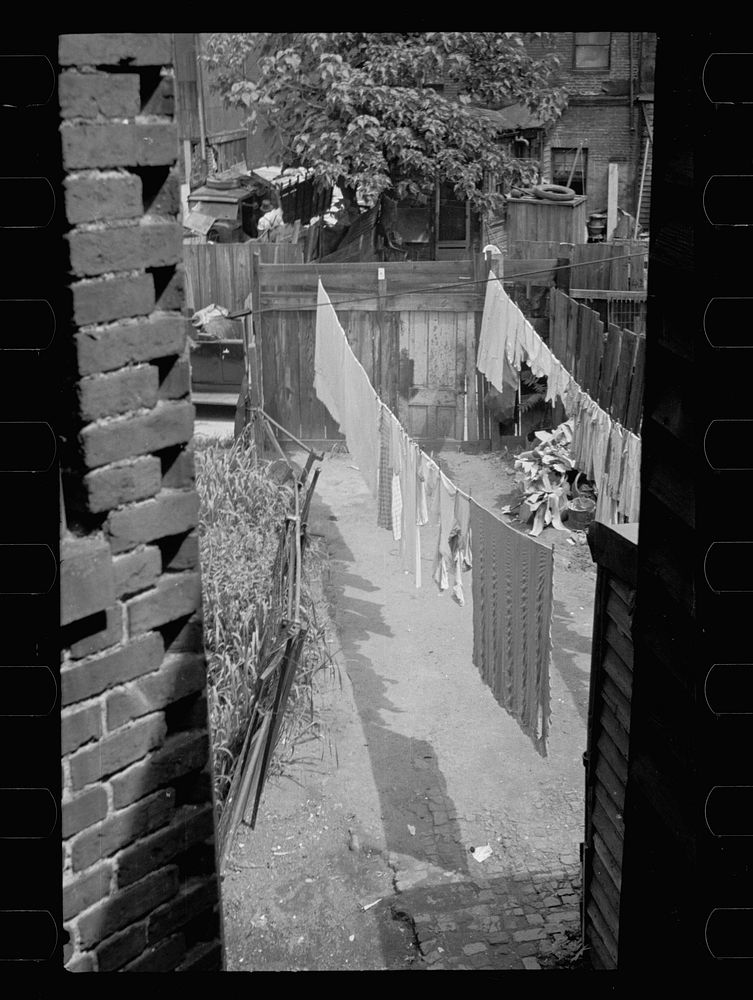[Untitled photo, possibly related to: Slum backyard, Washington, D.C.]. Sourced from the Library of Congress.