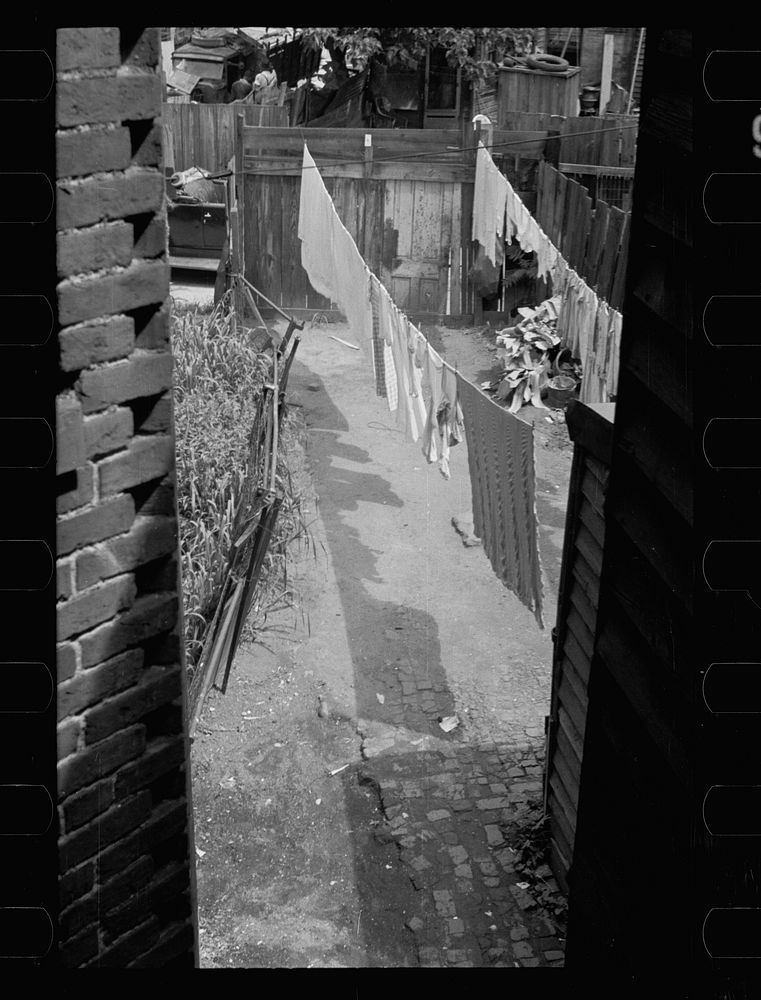 [Untitled photo, possibly related to: Slum backyard, Washington, D.C.]. Sourced from the Library of Congress.