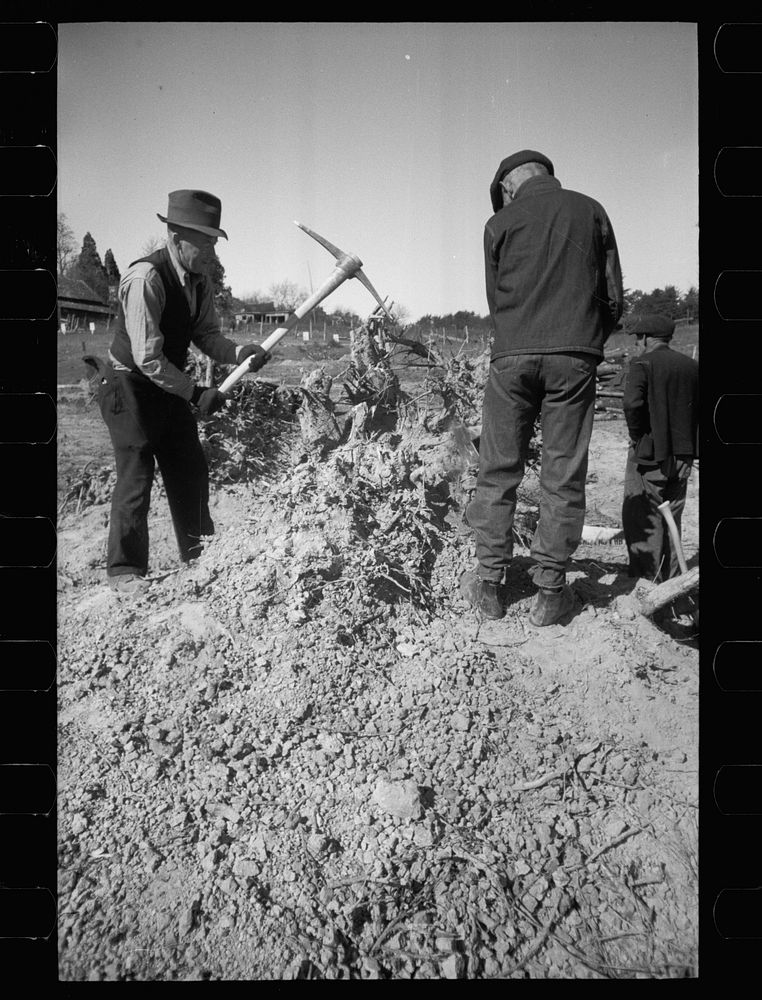 Transients clearing land, Prince George's County, Maryland. Sourced from the Library of Congress.