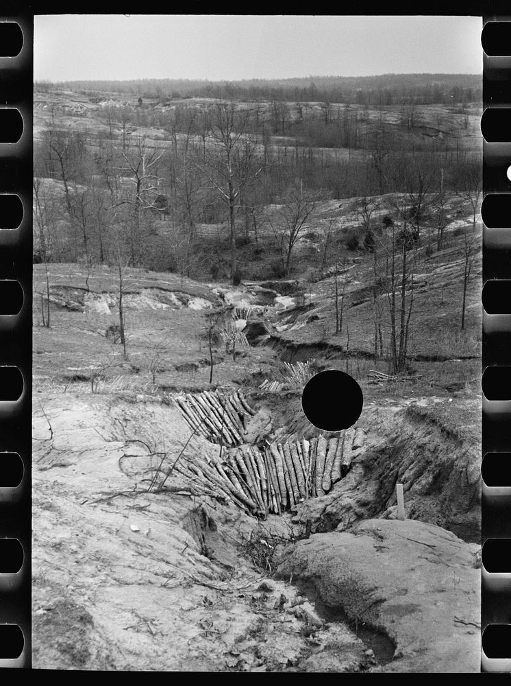 [Untitled photo, possibly related to: Erosion control on Coalins Forest and Game Reservation, between the rivers section of…