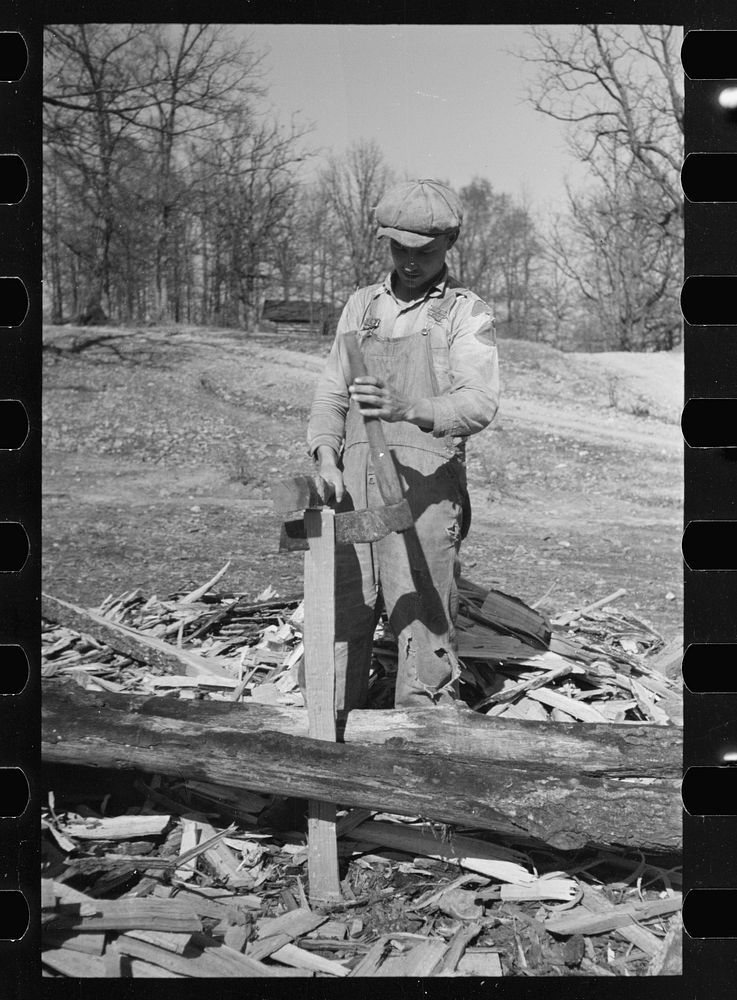 Splitting shingles with froe and maul on Coalins Project area farm, in western Kentucky. Sourced from the Library of…