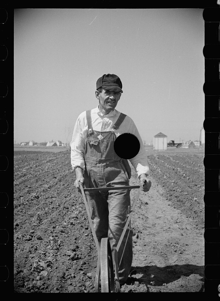 [Untitled photo, possibly related to: Miner-farmer working his land at the Granger Homesteads]. Sourced from the Library of…