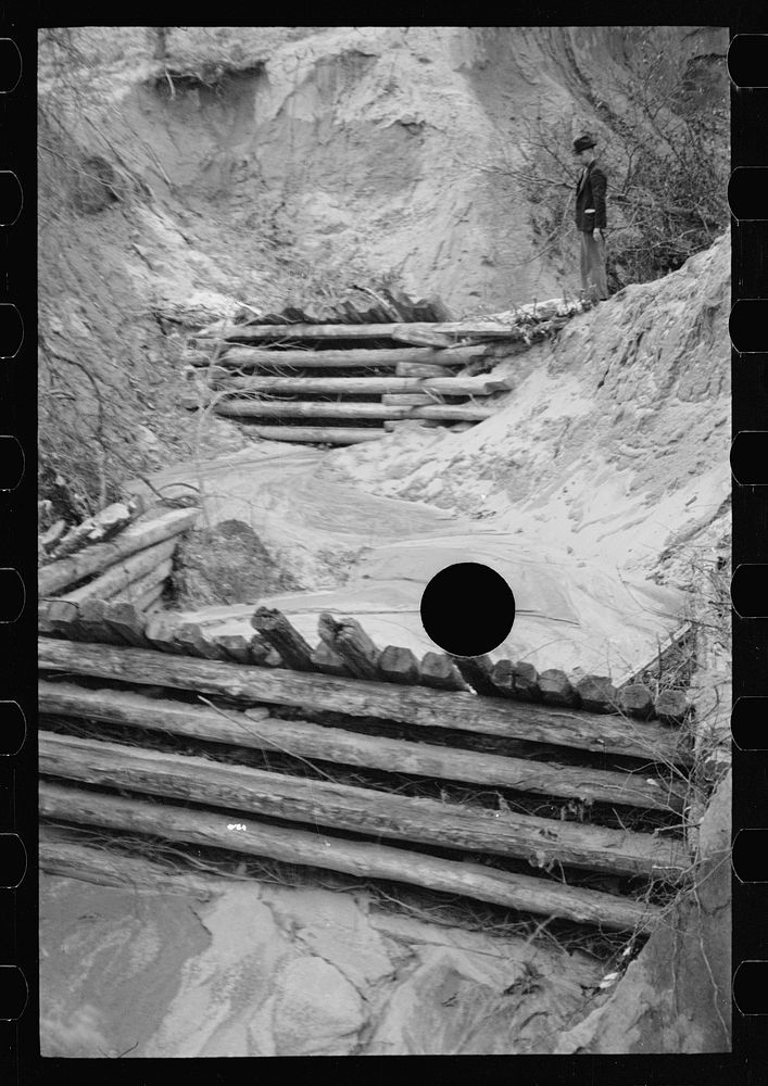 [Untitled photo, possibly related to: Erosion control on Natchez Trace Project near Lexington, Tennessee]. Sourced from the…