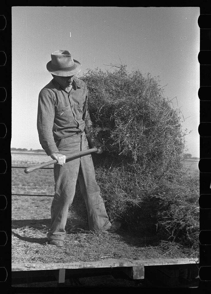 Jack Gardinier who has bought a farm under the tenant purchase program.  Ottawa County, Kansas. Sourced from the Library of…