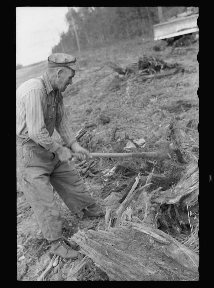 [Untitled photo, possibly related to: Lumberjack, Minnesota]. Sourced from the Library of Congress.