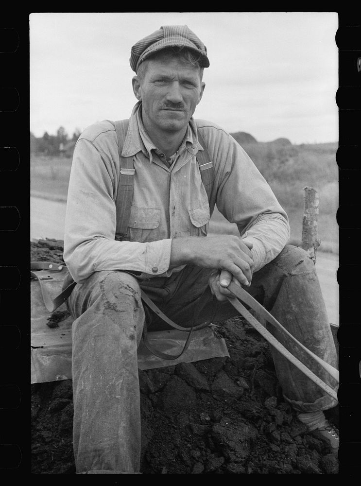 Cut-over farmer, Beltrami County, Minnesota. Sourced from the Library of Congress.