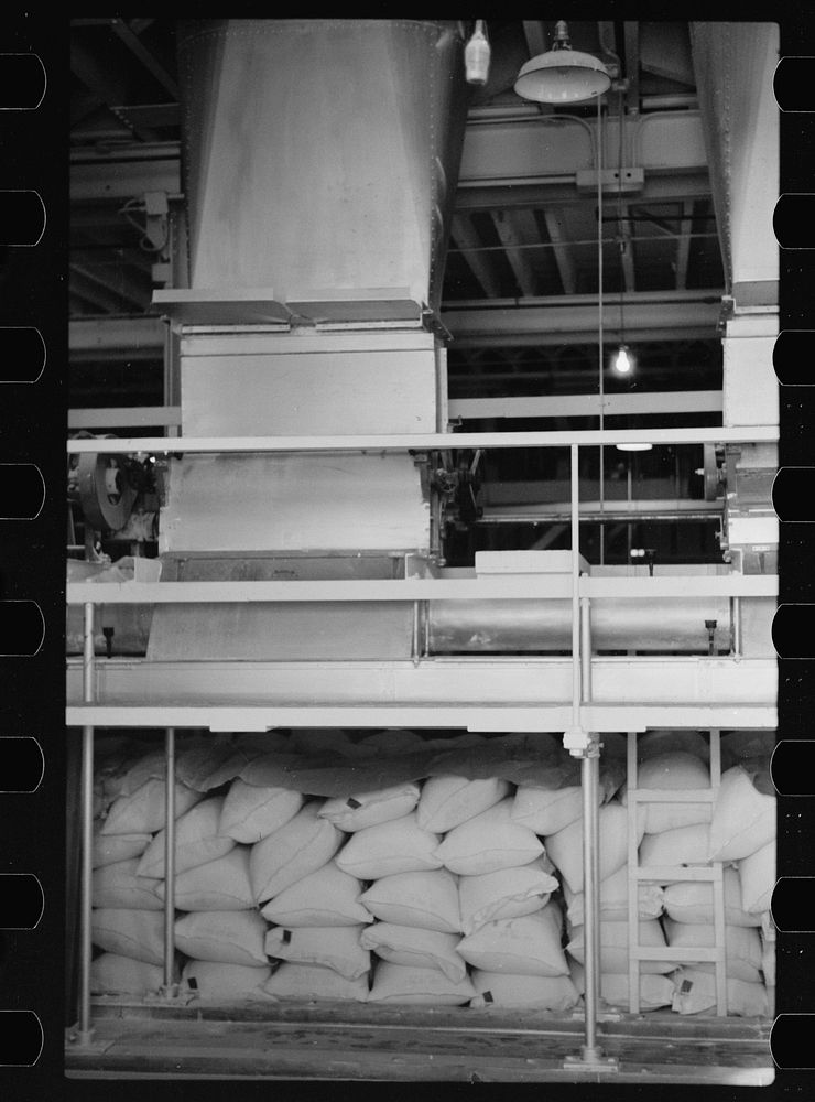 [Untitled photo, possibly related to: Packing flour at Pillsbury mill, Minneapolis, Minnesota]. Sourced from the Library of…