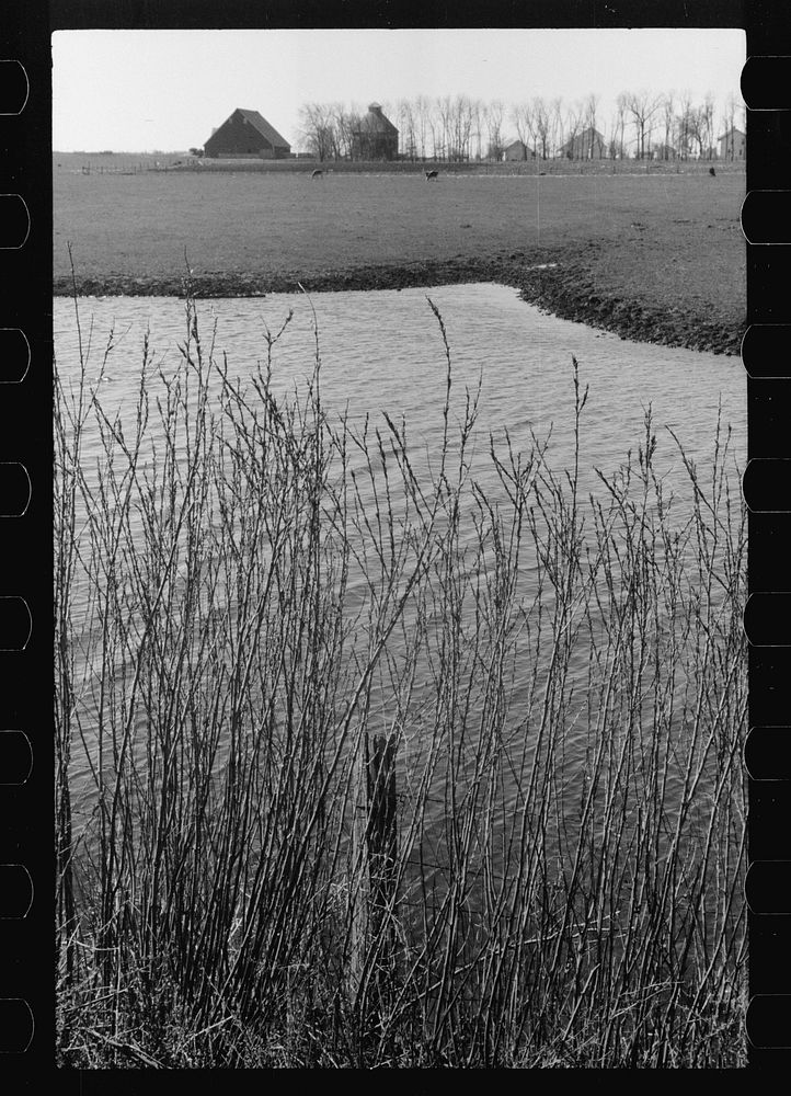 [Untitled photo, possibly related to: Iowa corn farm along banks of stream, Greene County]. Sourced from the Library of…
