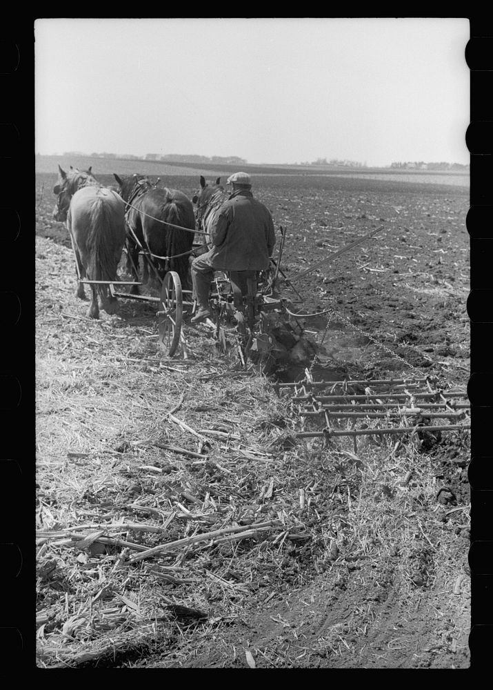 [Untitled photo, possibly related to: Plowed sod, Grundy County, Iowa]. Sourced from the Library of Congress.