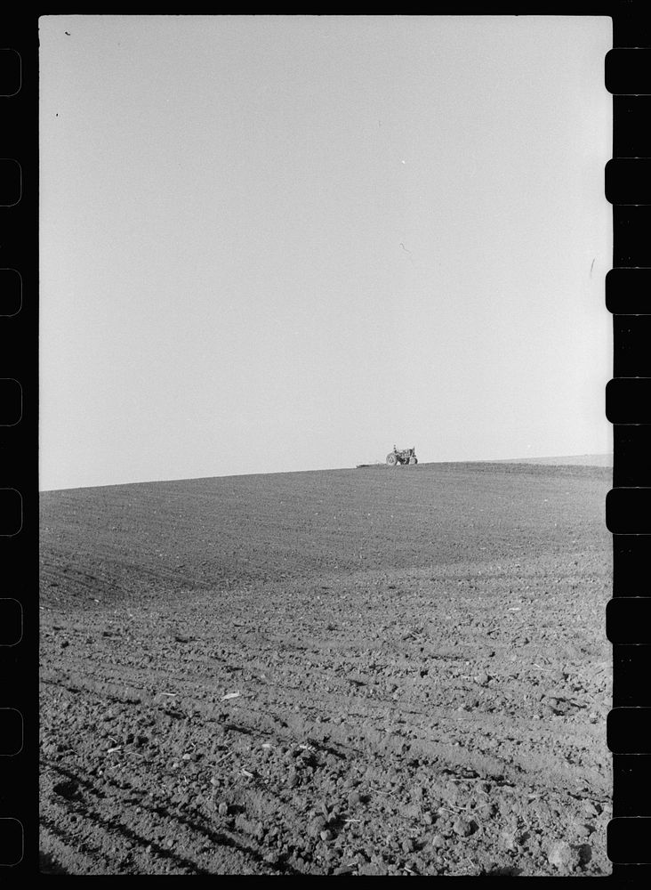 [Untitled photo, possibly related to: Corn planting wire held taut over a slope in the land. The planter drops corn at the…