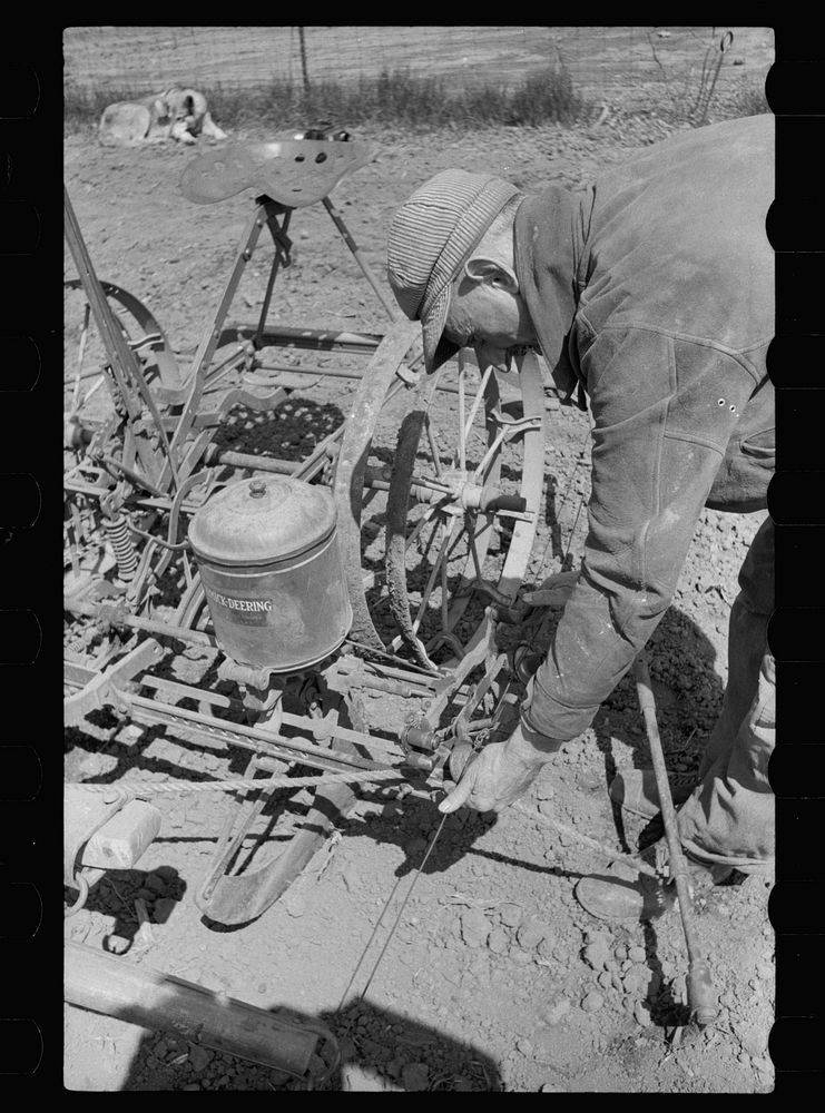 [Untitled photo, possibly related to: Calibrating the corn planter, Jasper County, Iowa]. Sourced from the Library of…