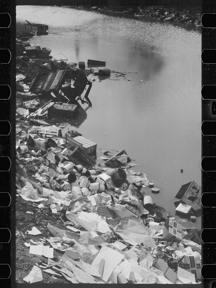 [Untitled photo, possibly related to: Stream pollution, Dubuque, Iowa]. Sourced from the Library of Congress.