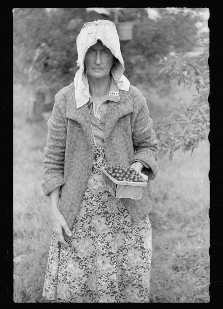 Migrant fruit worker from Arkansas, Berrien County, Michigan. Sourced from the Library of Congress.