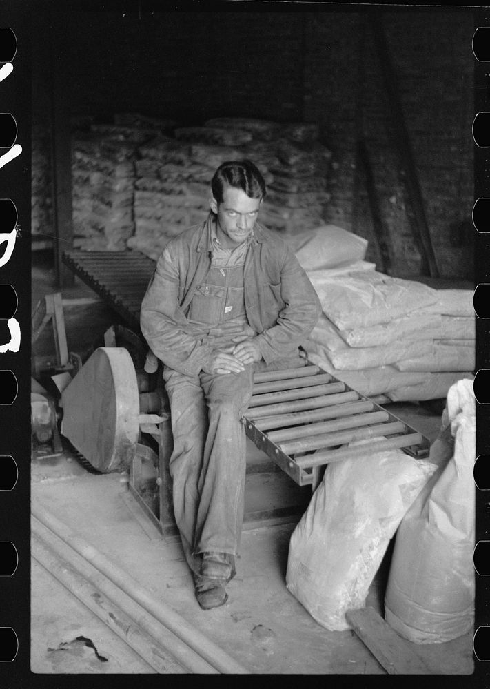 Migrant boy employed in fruit packing plant, Berrien County, Michigan. Sourced from the Library of Congress.
