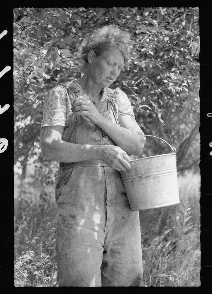 Migrant cherry picker, Berrien County, Michigan. Sourced from the Library of Congress.