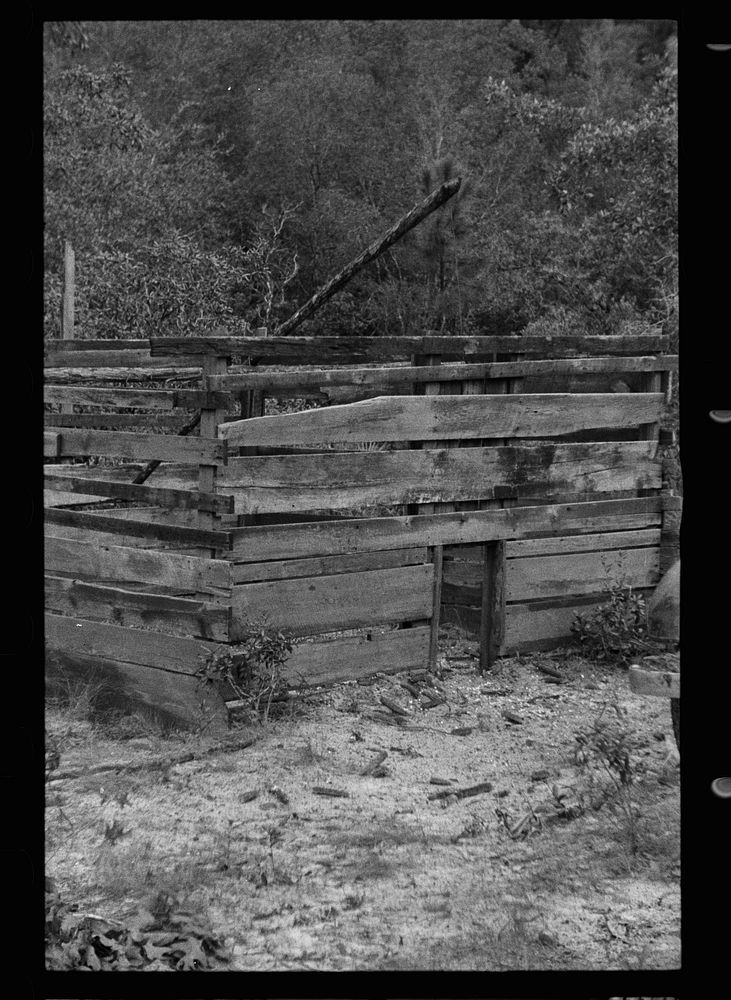 Trap used for catching wild hogs, Irwin County, Georgia. Sourced from the Library of Congress.