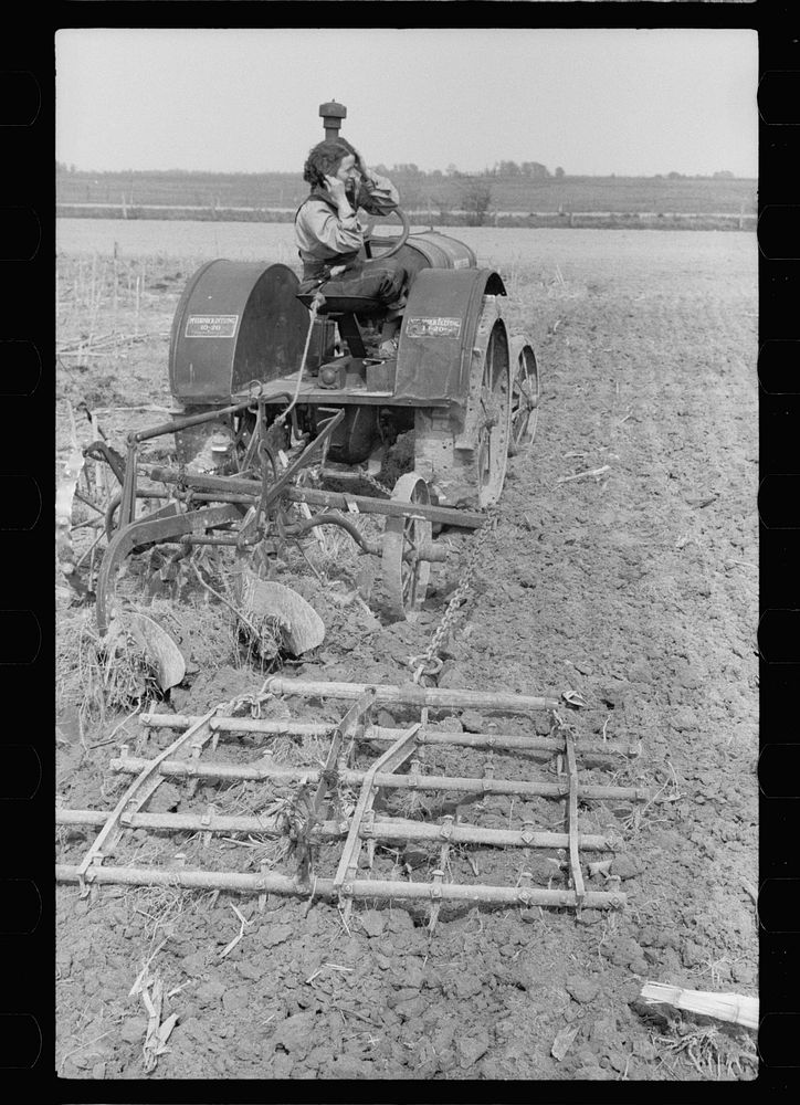 [Untitled photo, possibly related to: FSA (Farm Security Administration) rehabilitation borrower with calf, Grant County…