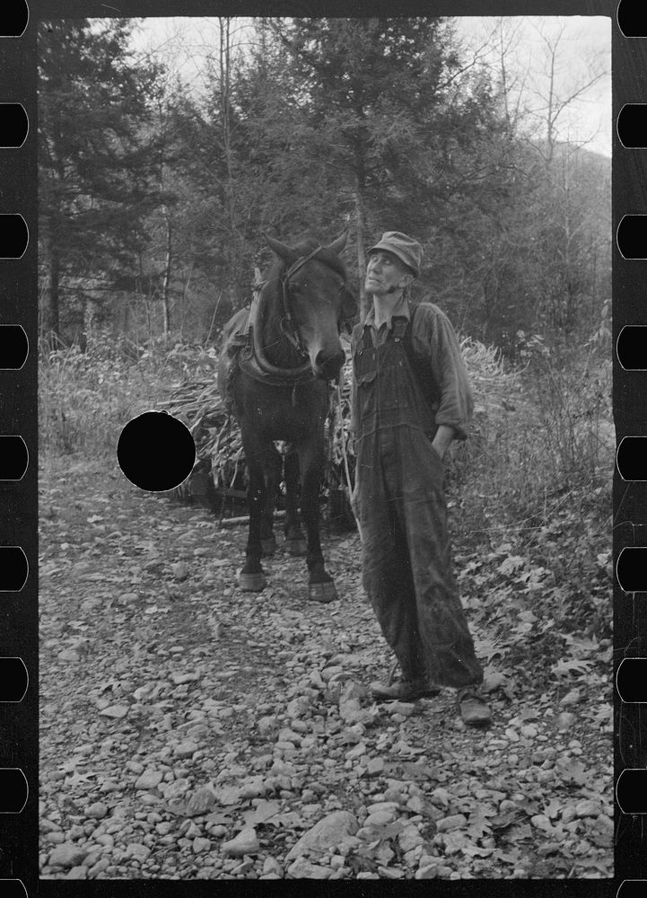 [Untitled photo, possibly related to: Man from Nicholson Hollow with one of the few horses, Shenandoah National Park…