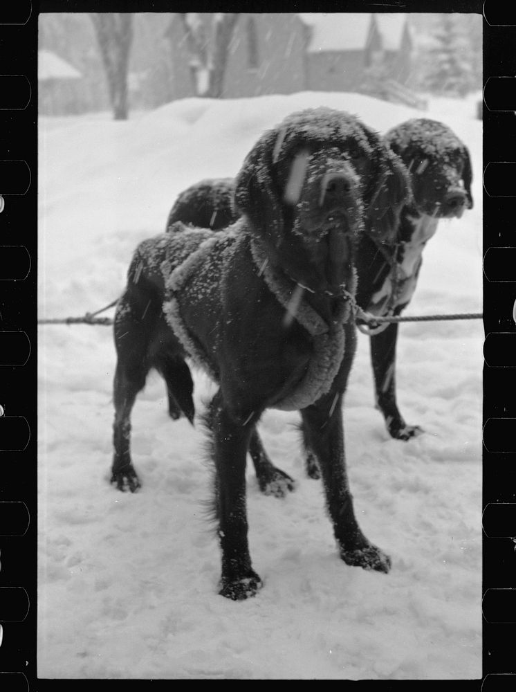 [Untitled photo, possibly related to: Snow carnival, Lancaster, New Hampshire]. Sourced from the Library of Congress.