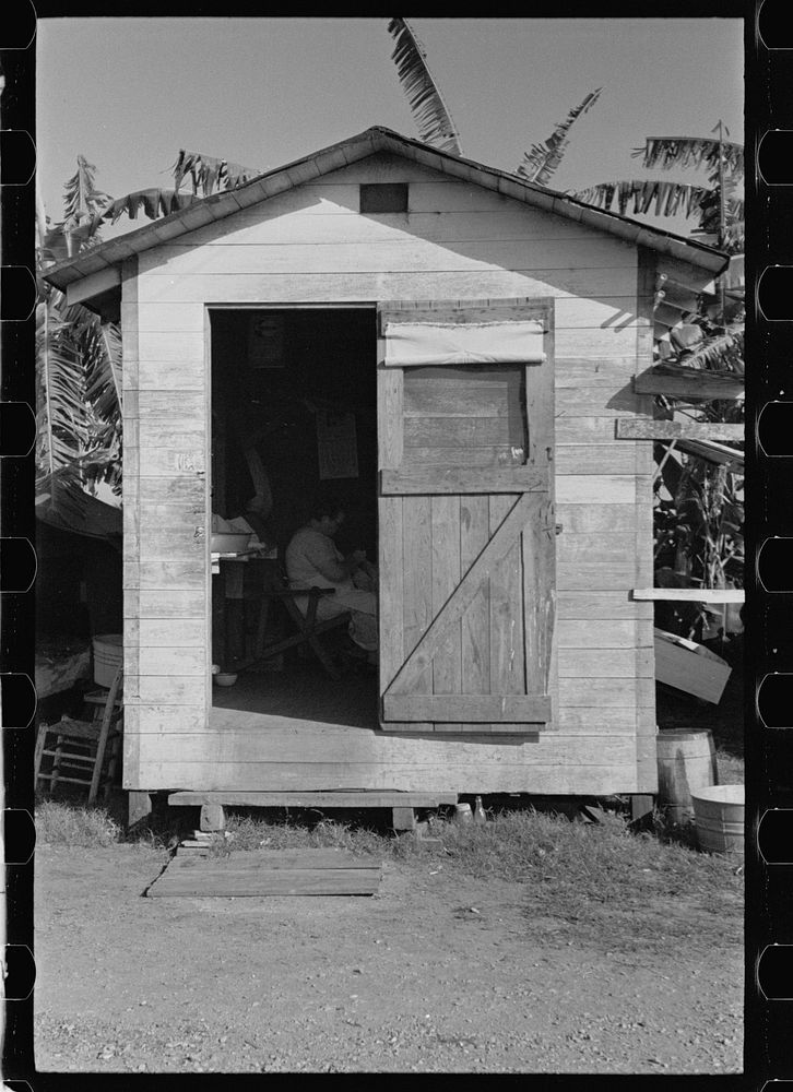 [Untitled photo, possibly related to: A row of houses occupied by fruit and vegetable workers, in a trailer camp near Belle…