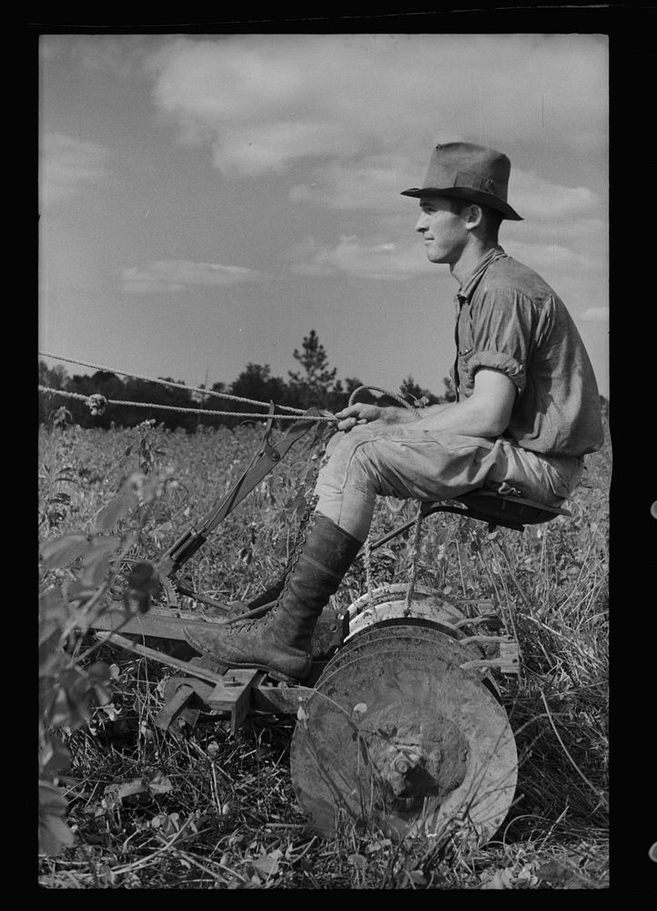 Young resettlement farmer with harrow, Grady County, Georgia. Sourced from the Library of Congress.