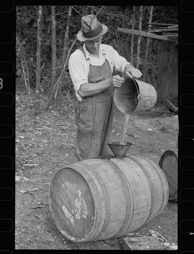 Pouring sorghum syrup. Sourced from the Library of Congress.