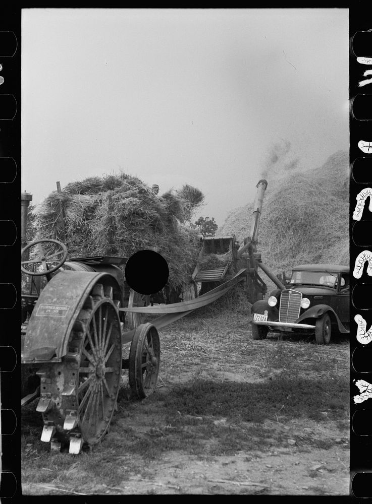 [Untitled photo, possibly related to: Wheat straw coming out of threshing machine, Frederick, Maryland]. Sourced from the…