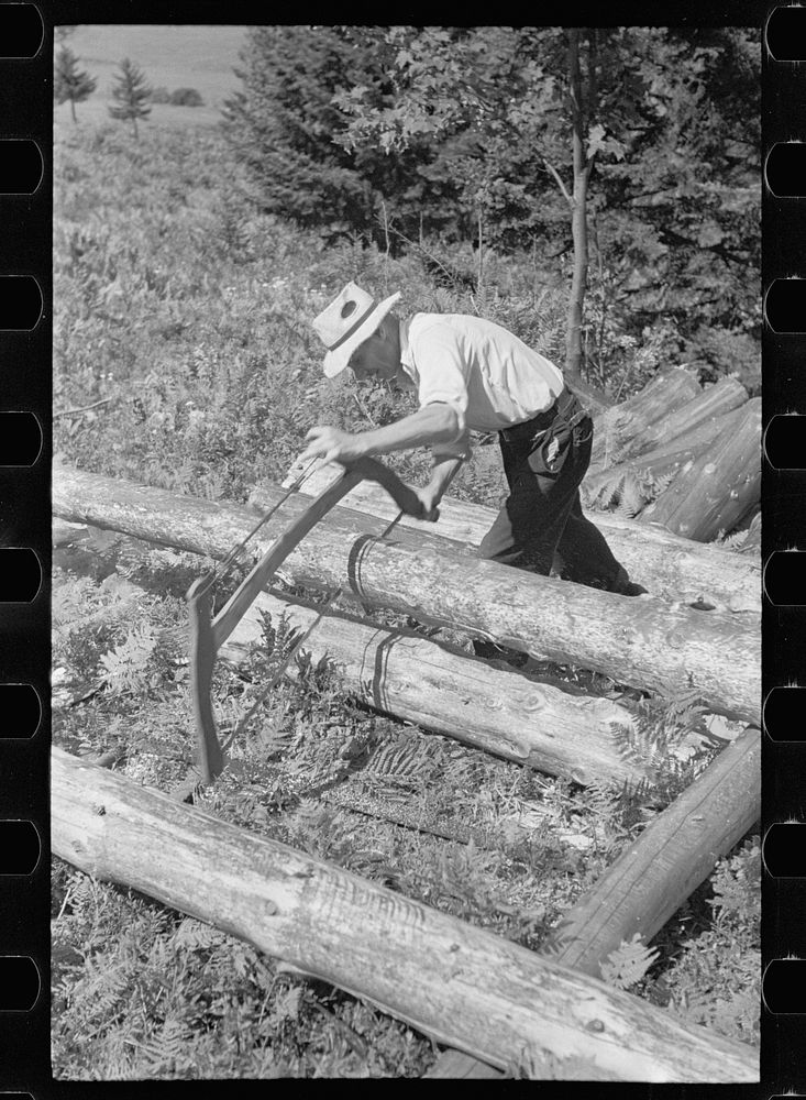 Cutting pulpwood, Eden Mills, Vermont. | Free Photo - rawpixel