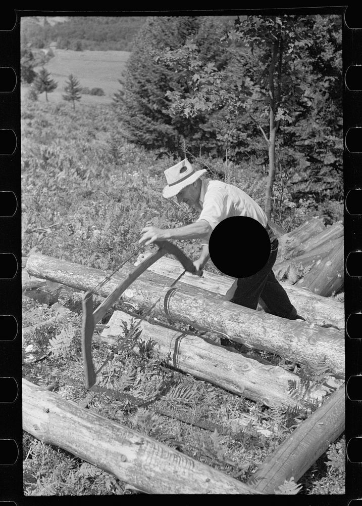 [Untitled photo, possibly related to: Sawing pulpwood on Kinneys' farm, Eden Mills, Vermont]. Sourced from the Library of…