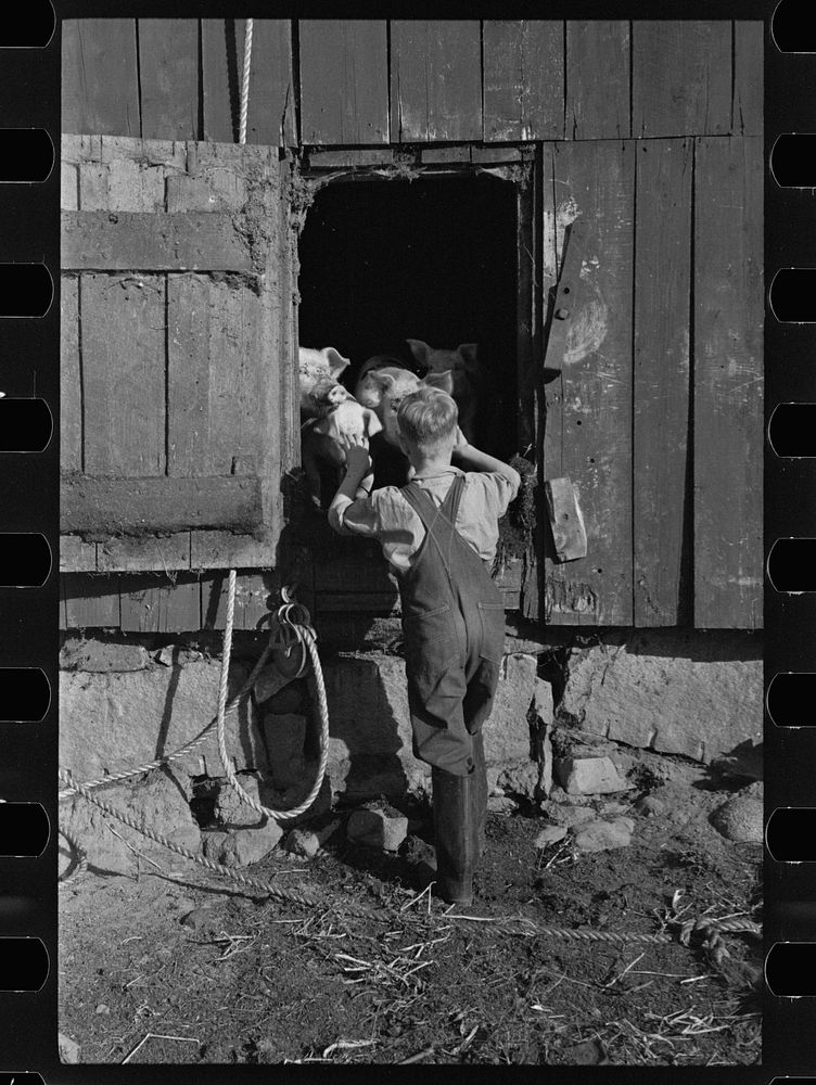 [Untitled photo, possibly related to: Looking for the mail, McNally farm, Kirby, Vermont]. Sourced from the Library of…