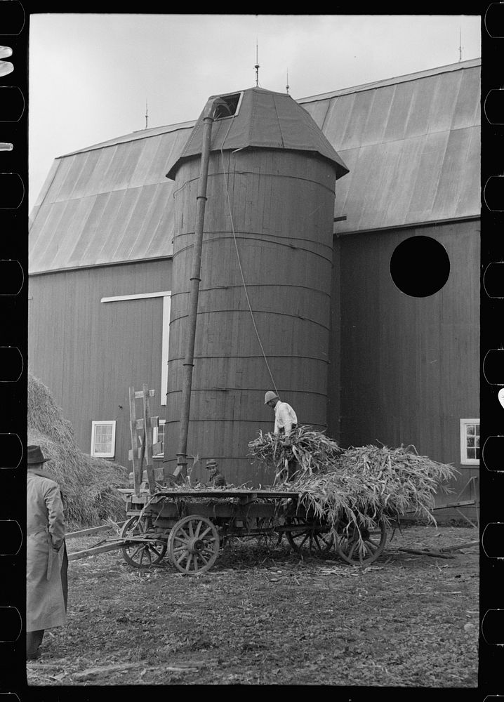 [Untitled photo, possibly related to: Barn and silo on Anton Weber's farm, Tompkins County, New York]. Sourced from the…