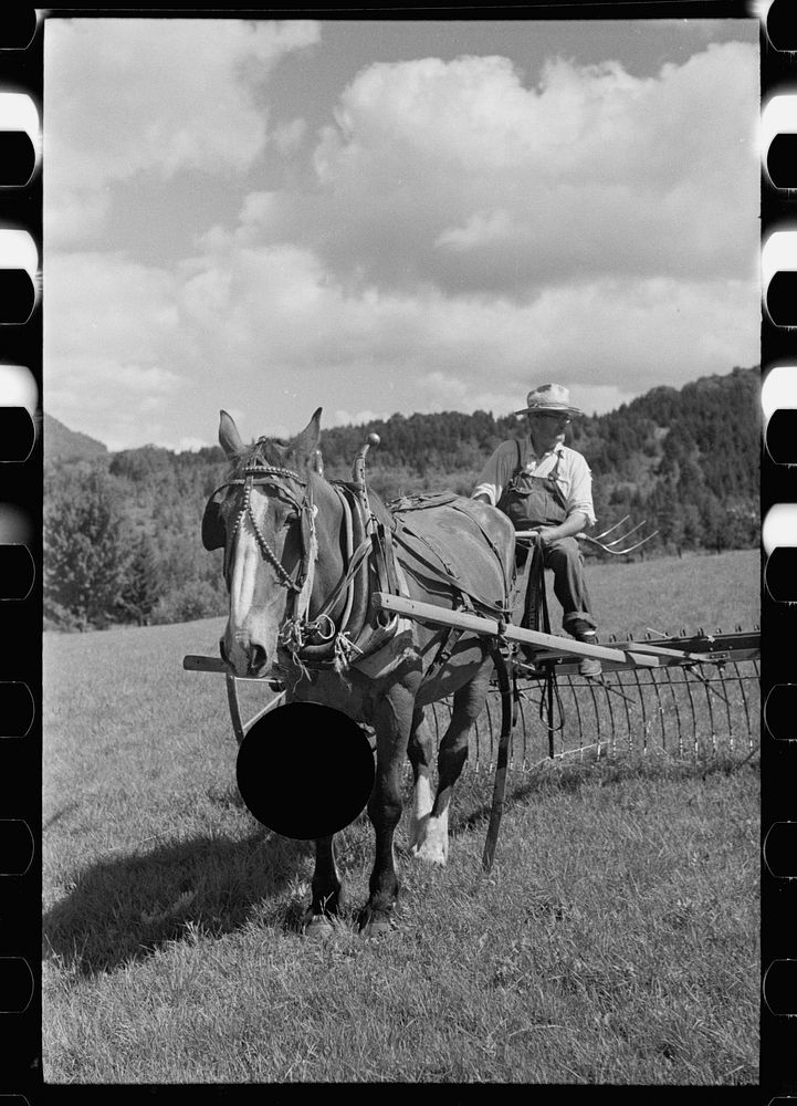 [Untitled photo, possibly related to: Frank Kinney on a hay rake, Eden Mills, Vermont]. Sourced from the Library of Congress.