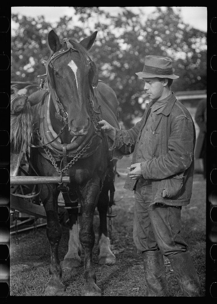 [Untitled photo, possibly related to: U.S. Grant Hallett, resettled tenant farmer, Tompkins County, New York]. Sourced from…