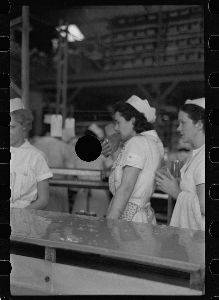 [Untitled photo, possibly related to: Sectioners at work canning grapefruit. About half of these girls are migrants. Winter…