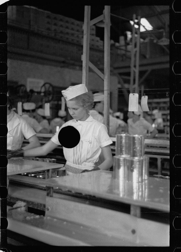 [Untitled photo, possibly related to: Sectioners at work canning grapefruit. About half of these girls are migrants. Winter…