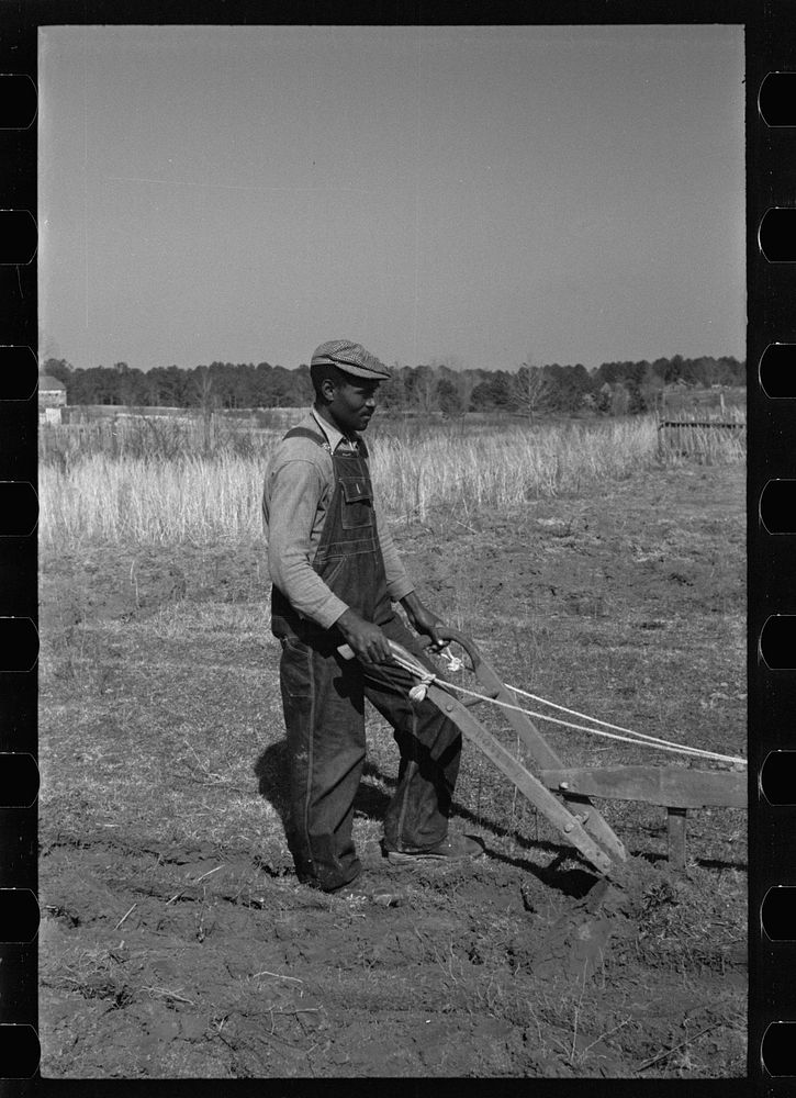 [Untitled photo, possibly related to: Plowing at Gee's Bend, Wilcox County, Alabama]. Sourced from the Library of Congress.