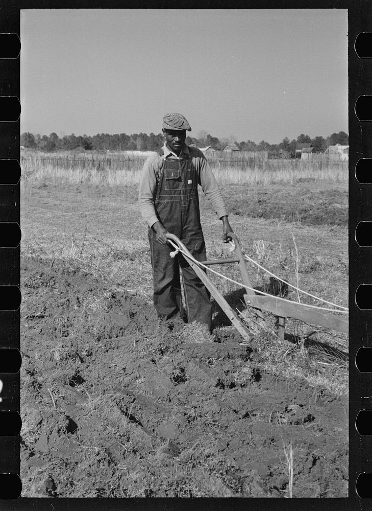 [Untitled photo, possibly related to: Plowing, Gee's Bend, Alabama]. Sourced from the Library of Congress.