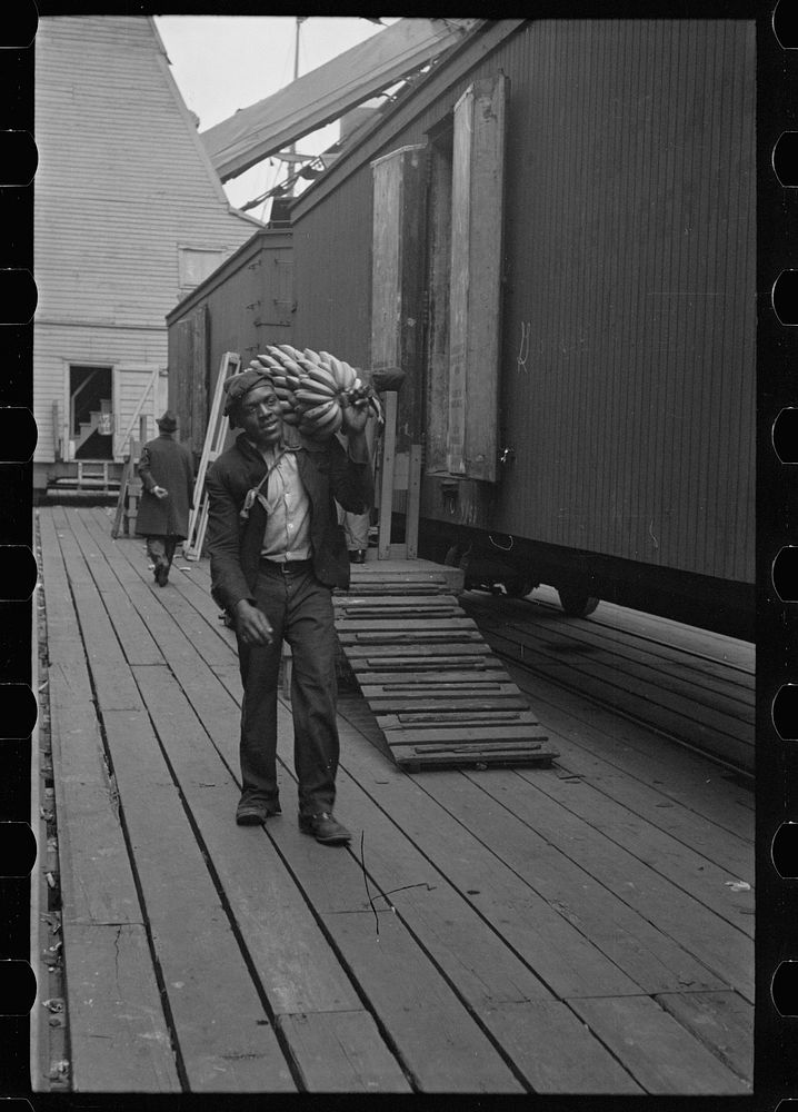 [Untitled photo, possibly related to: Unloading bananas on the dock, Mobile, Alabama]. Sourced from the Library of Congress.
