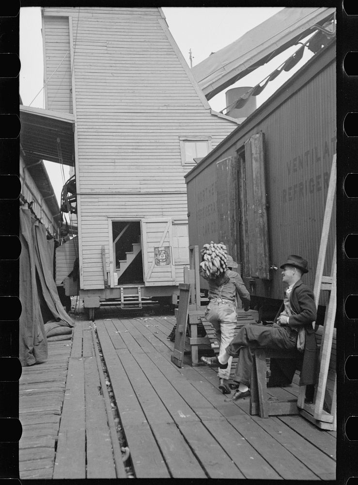 Loading bananas, Mobile, Alabama. Sourced from the Library of Congress.