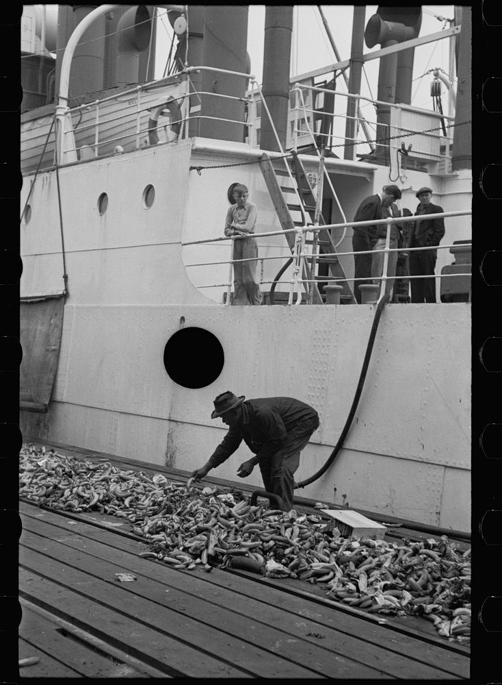 [Untitled photo, possibly related to: Dock scene, Mobile, Alabama]. Sourced from the Library of Congress.