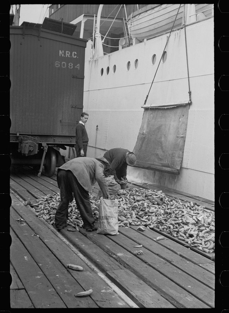 Dock scene, Mobile, Alabama. Sourced from the Library of Congress.