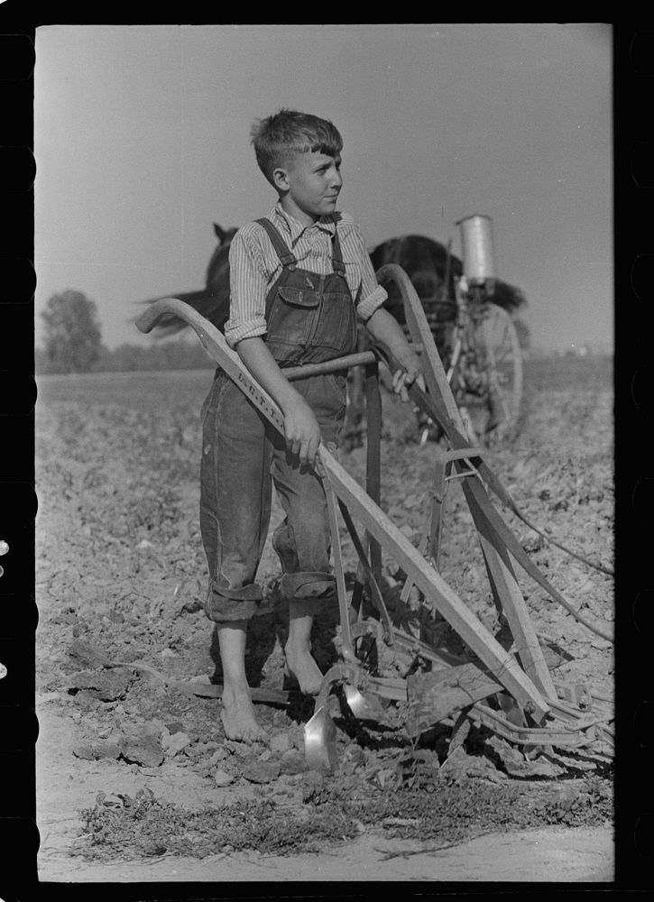 Farm boy, Wabash Farms, Indiana. Sourced from the Library of Congress.