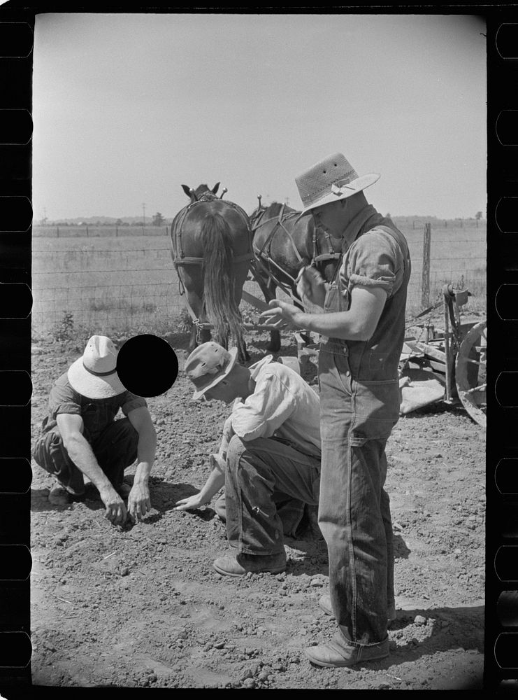 [Untitled photo, possibly related to: Planting tomatoes, Wabash Farms, Indiana]. Sourced from the Library of Congress.