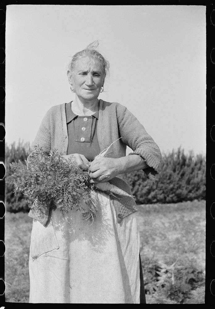 Woman picking carrots, Camden County, New Jersey. Sourced from the Library of Congress.