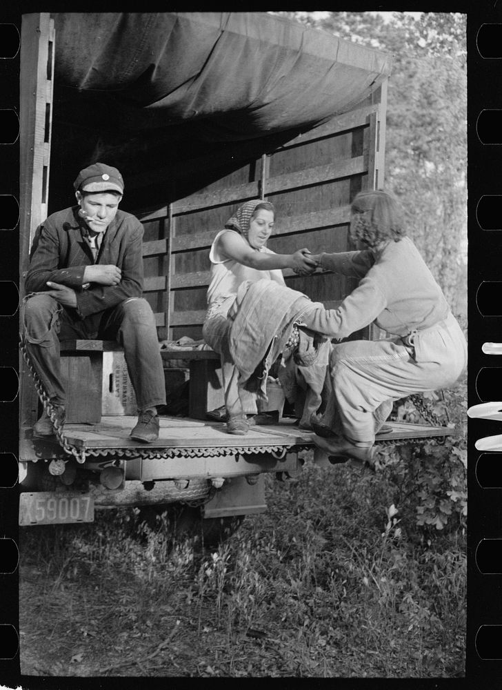 [Untitled photo, possibly related to: Cranberry picker, Burlington County, New Jersey]. Sourced from the Library of Congress.