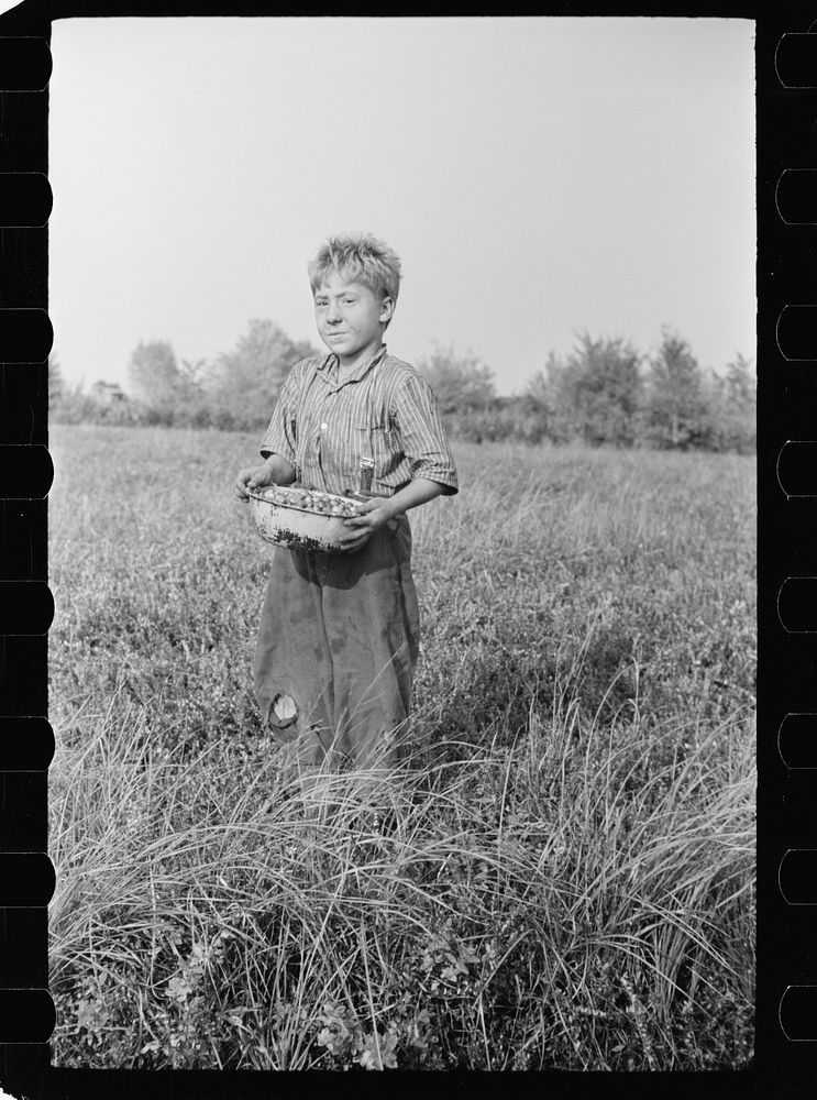 Child labor, cranberry bog, Burlington County, New Jersey. Sourced from the Library of Congress.